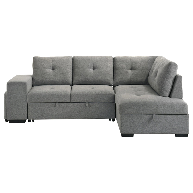 Roanne Pull-Out Sleeper Sectional Sofa